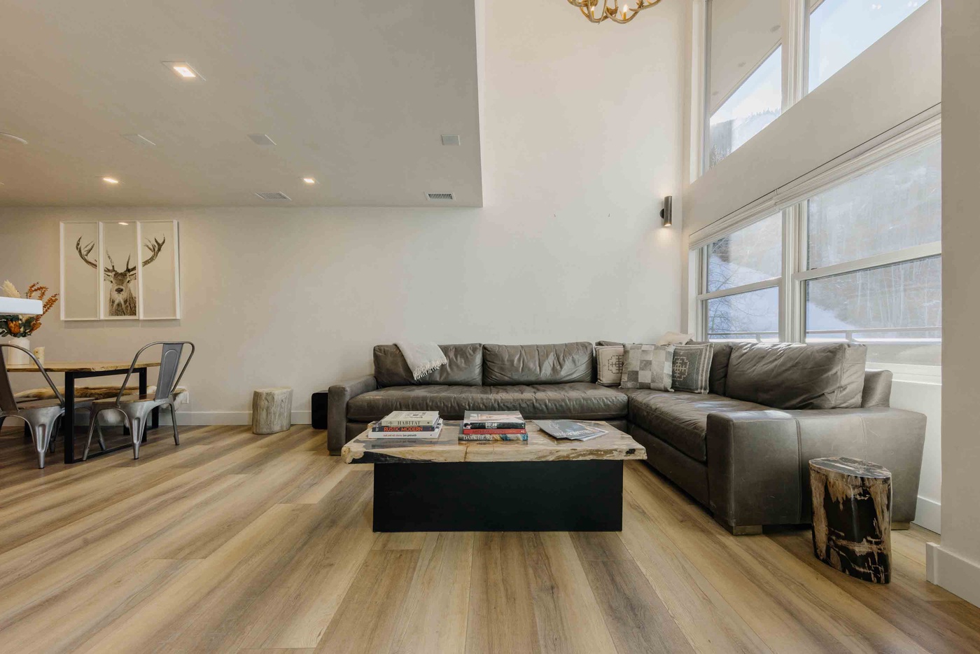Living Room - Winter