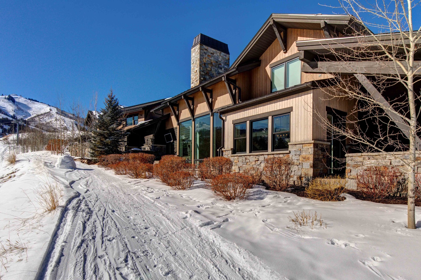 Ski Access - Winter