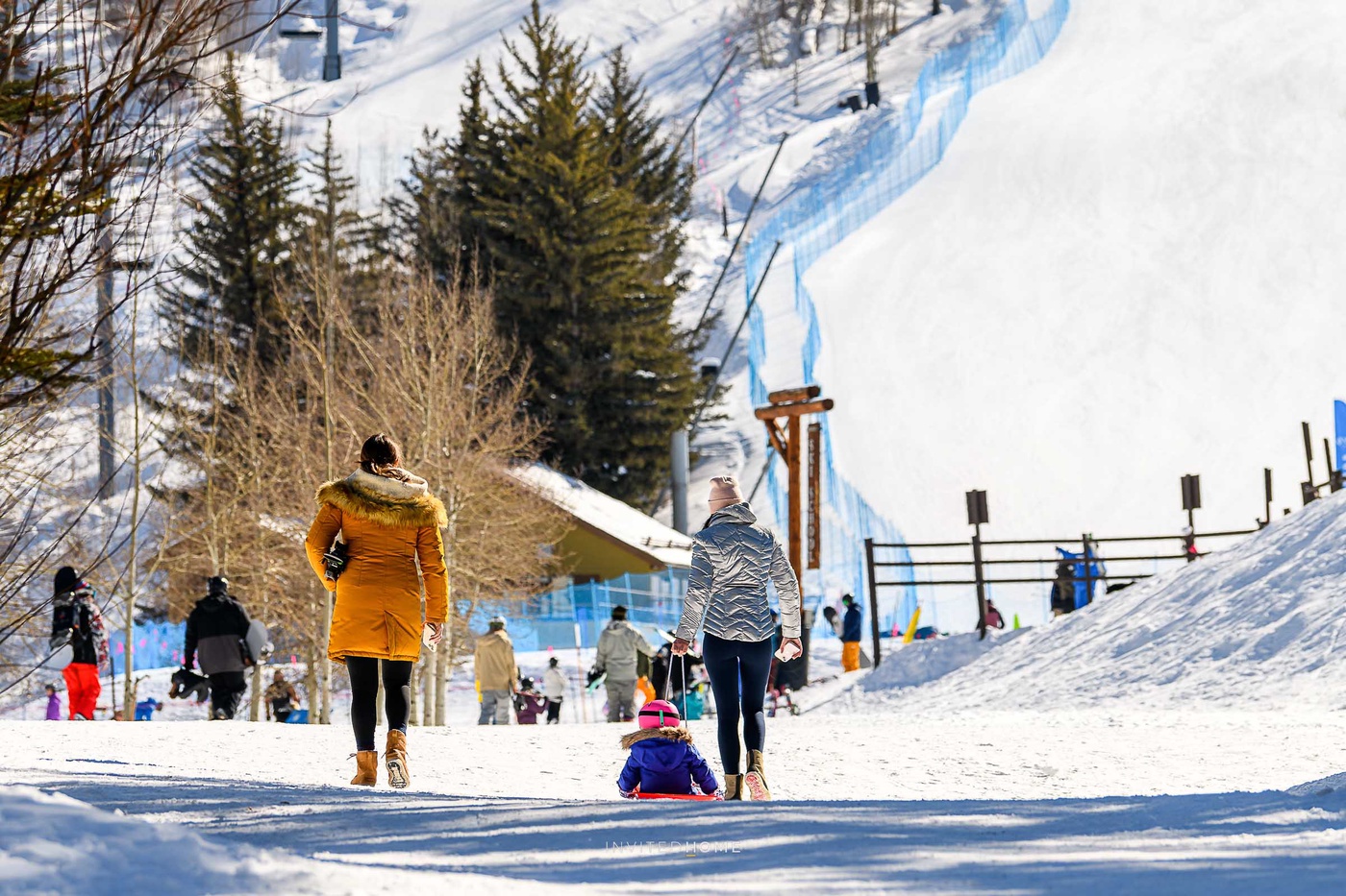 Sledding