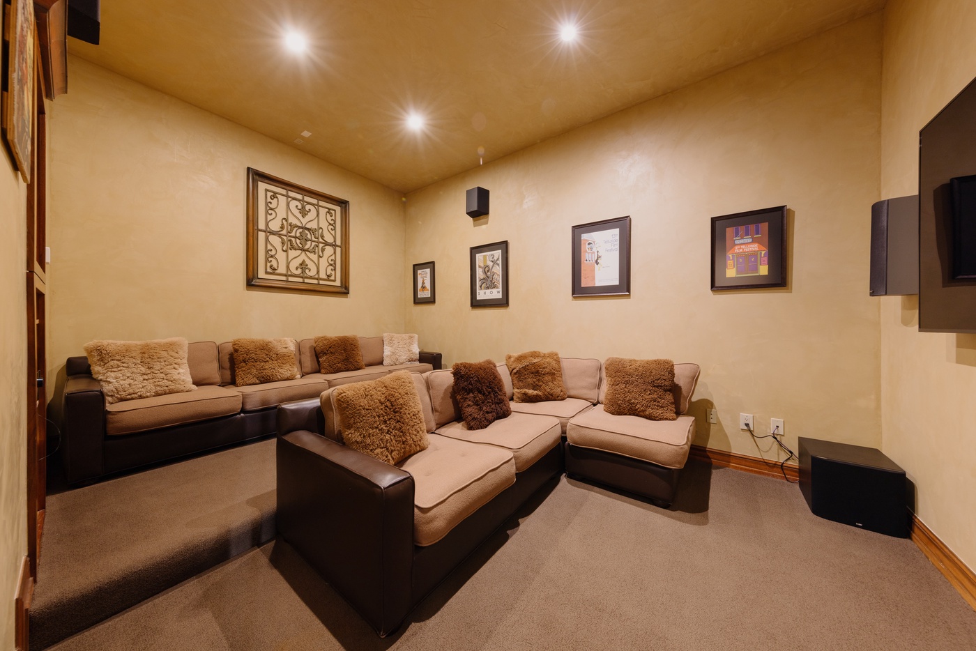 Theater Room