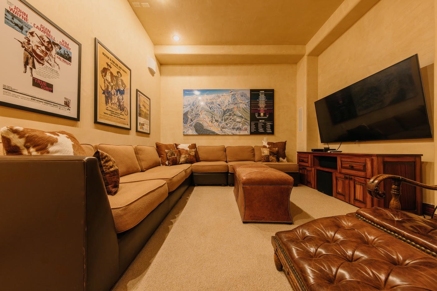Theatre Room