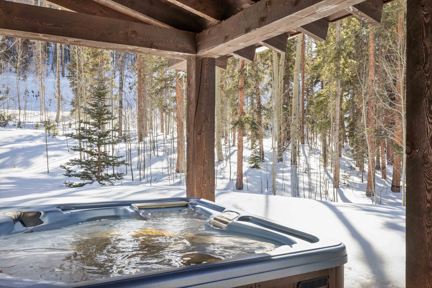 Hot tub - Invierno