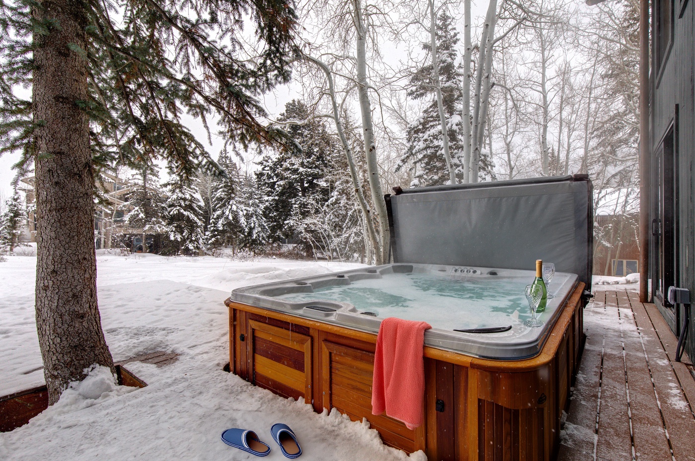 Patio - Winter
