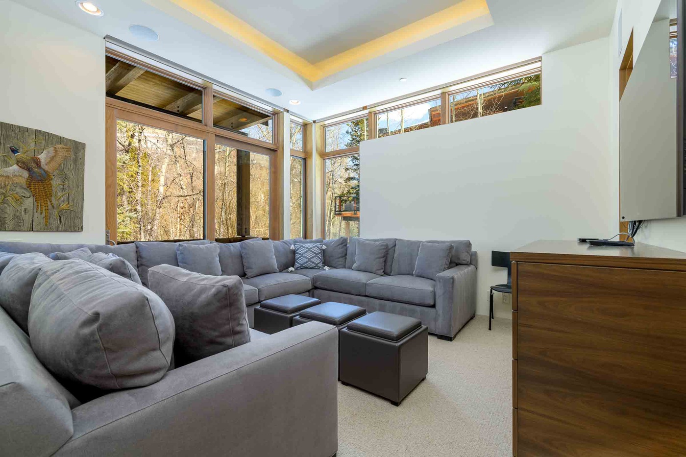 Lower Lounge - Winter