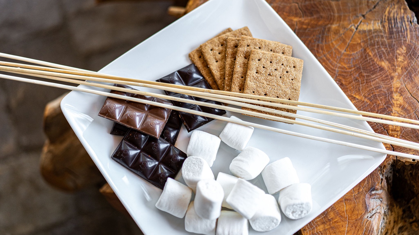 Family Fun at Stellar's Nest