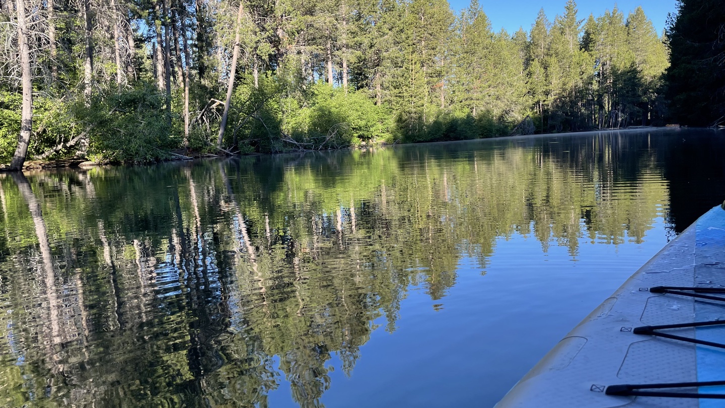 A tranquil river surrounded by towering pines and lush greenery—perfect for canoeing, kayaking, or simply soaking in the peaceful natural beauty nearby.