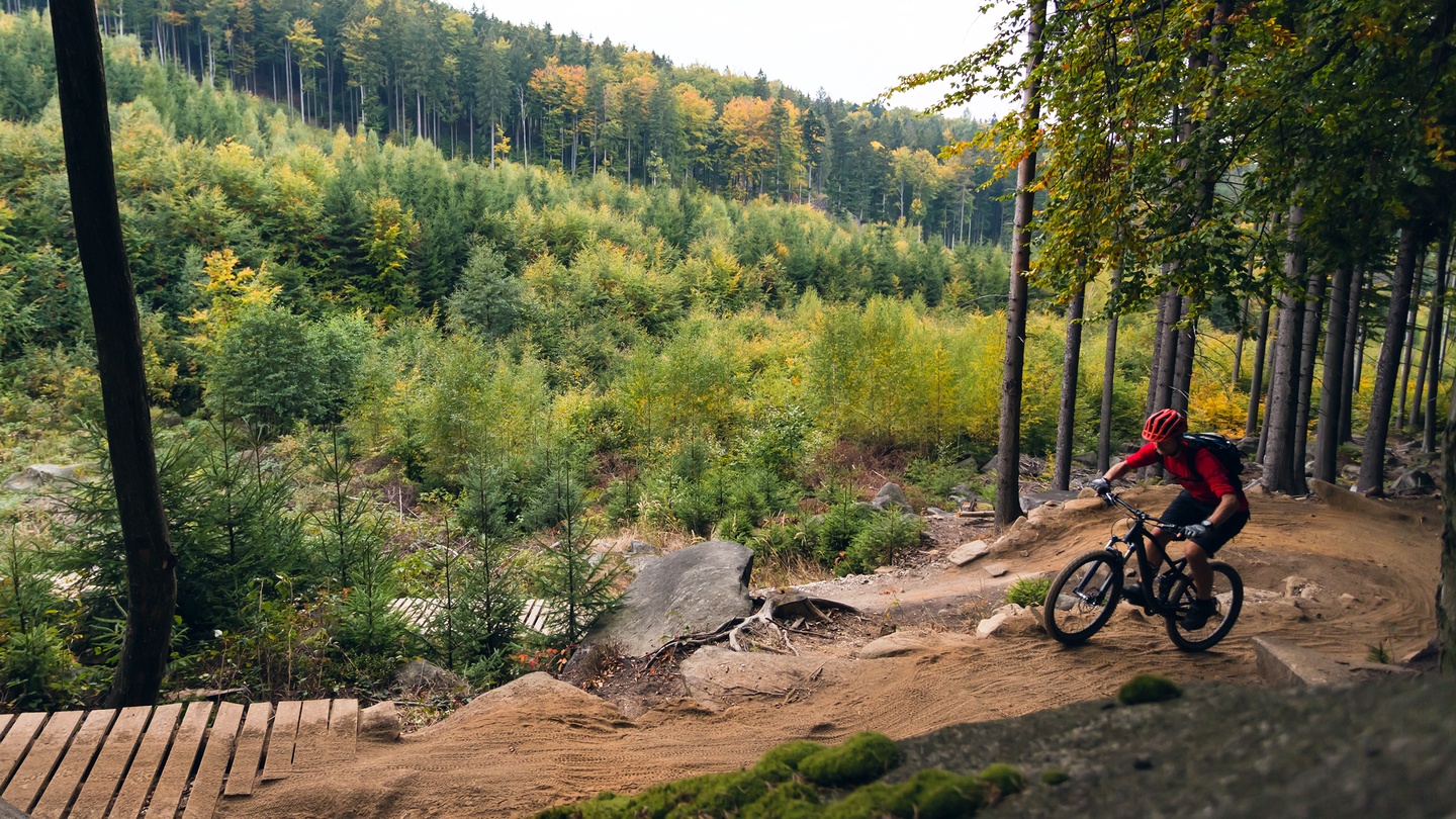 Adventure awaits on scenic mountain biking trails surrounded by vibrant autumn forests and rolling hills.