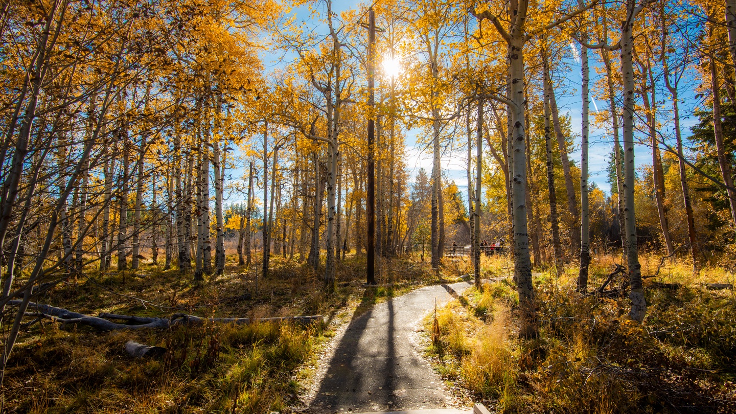 Fall in Tahoe