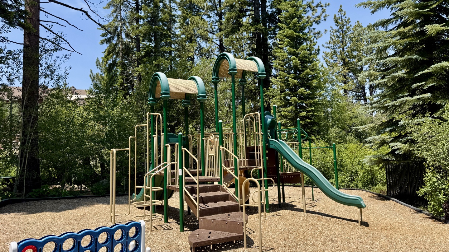 Spacious playground with climbing structures, slides, and oversized games nestled among towering evergreens—perfect for the little ones to explore and play.