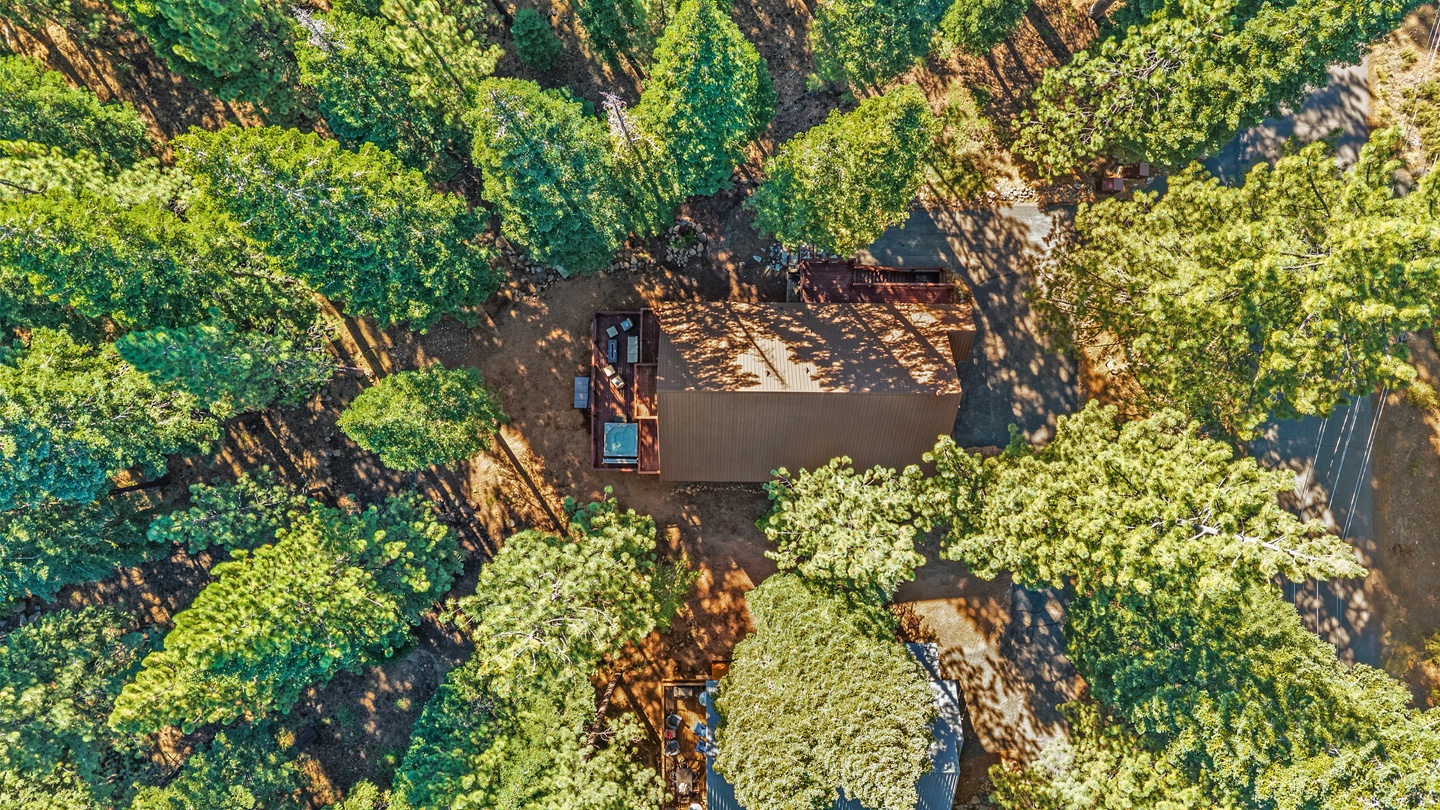 Aerial view of a secluded vacation rental nestled among dense forest canopy, with a private deck area visible through the treetops.