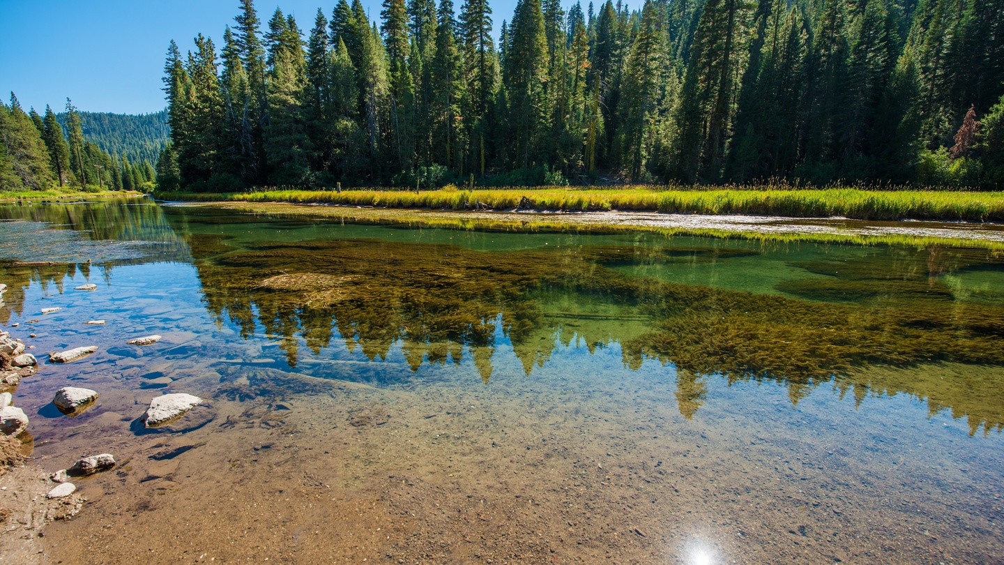 Truckee River Nearby, great for fishing, tubing and biking along the river.
