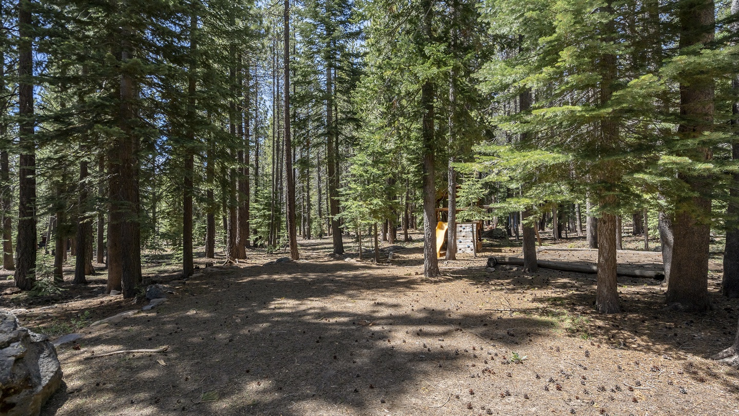 Tall evergreens and peaceful forest surroundings envelop the property, offering a serene natural retreat.