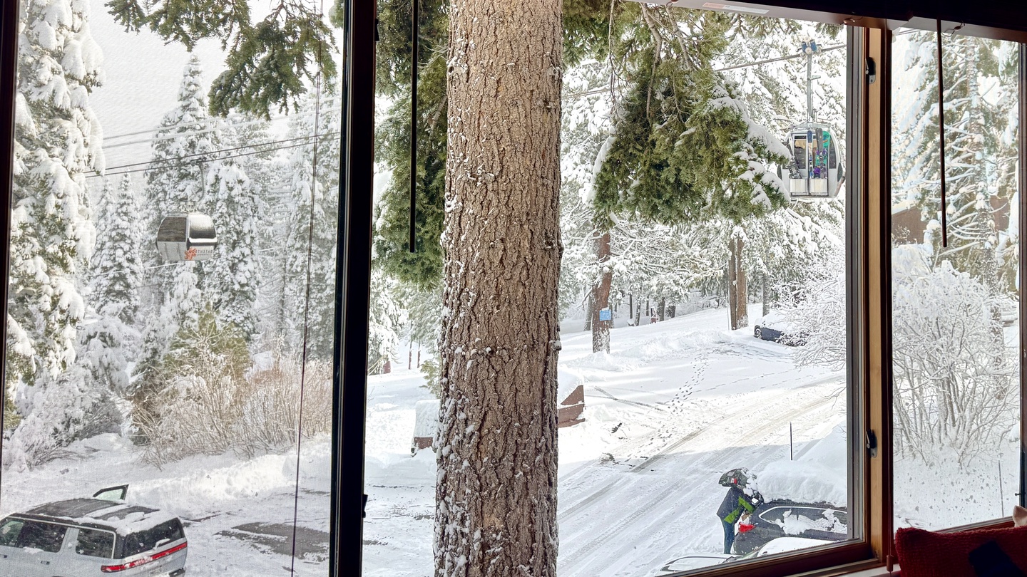 Winter View form dining area.