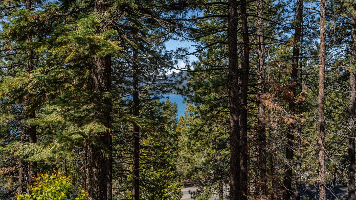 Filtered View from the deck Tahoe Blue Haus