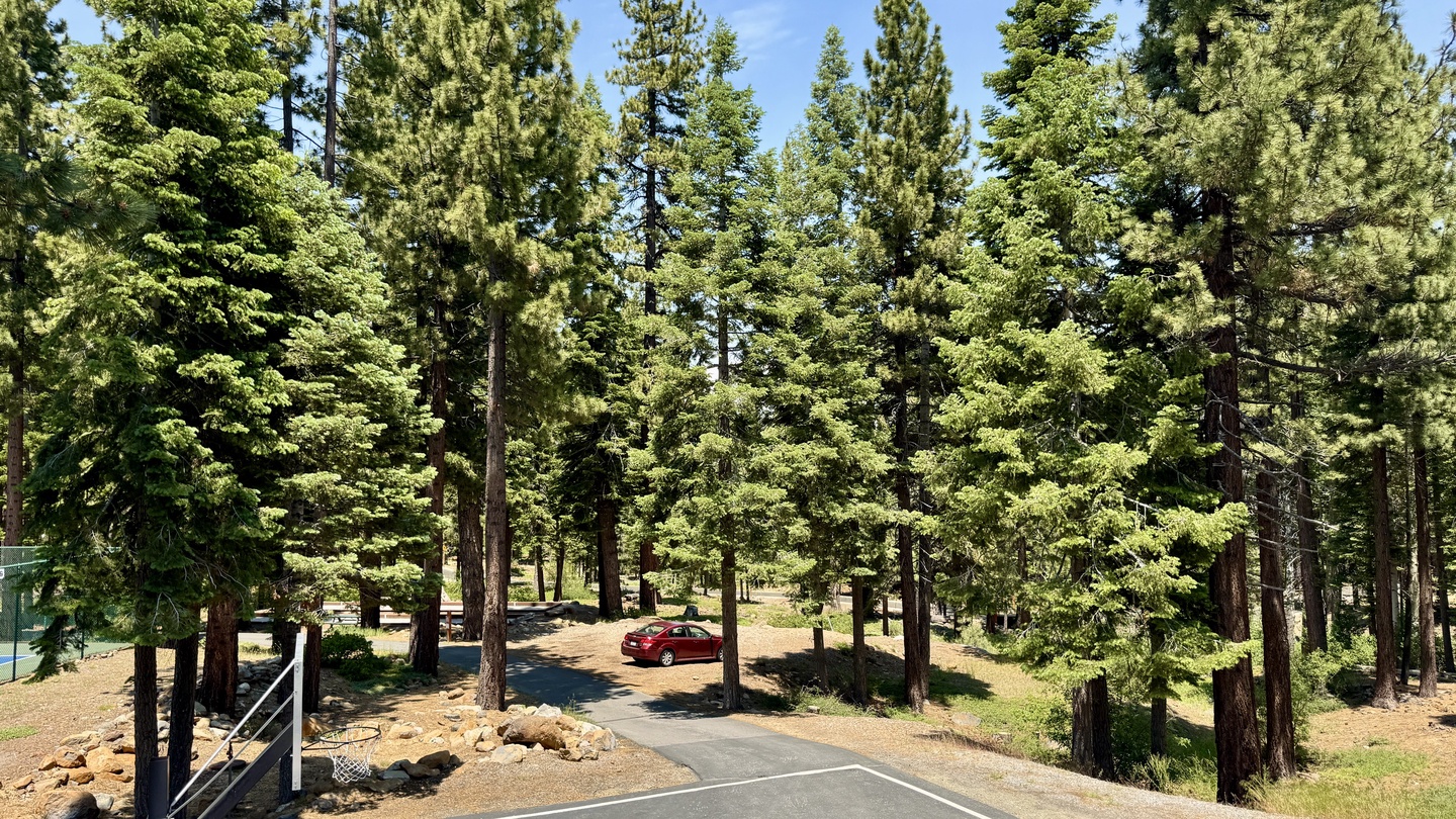 Clubhouse nestled in a pine forest setting with outdoor basketball court and parking area surrounded by towering evergreens and natural landscape.