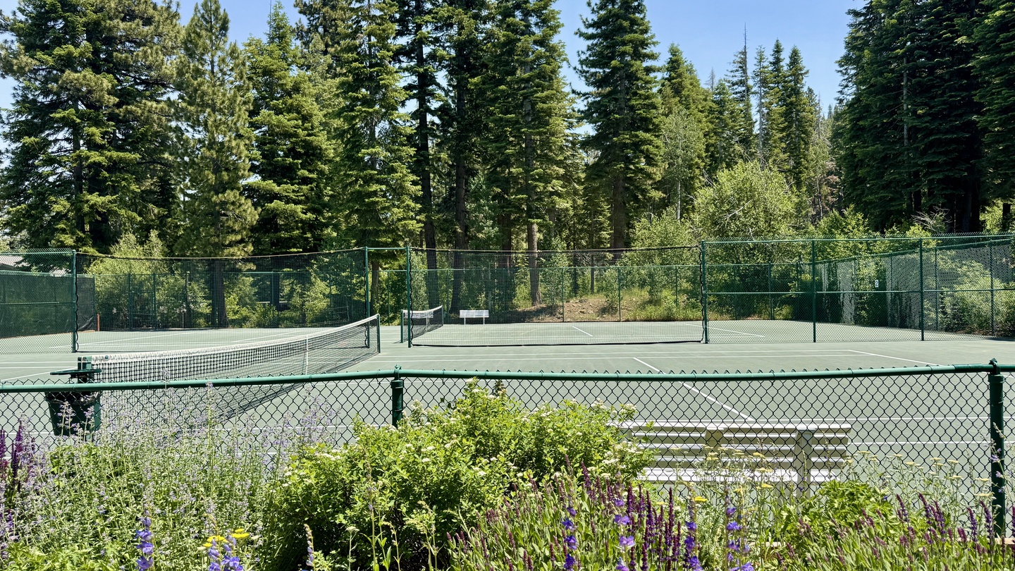 NPOA Tennis Court View – Per-Person, Per-Day Fee Applies at the Facility and is Subject to Change