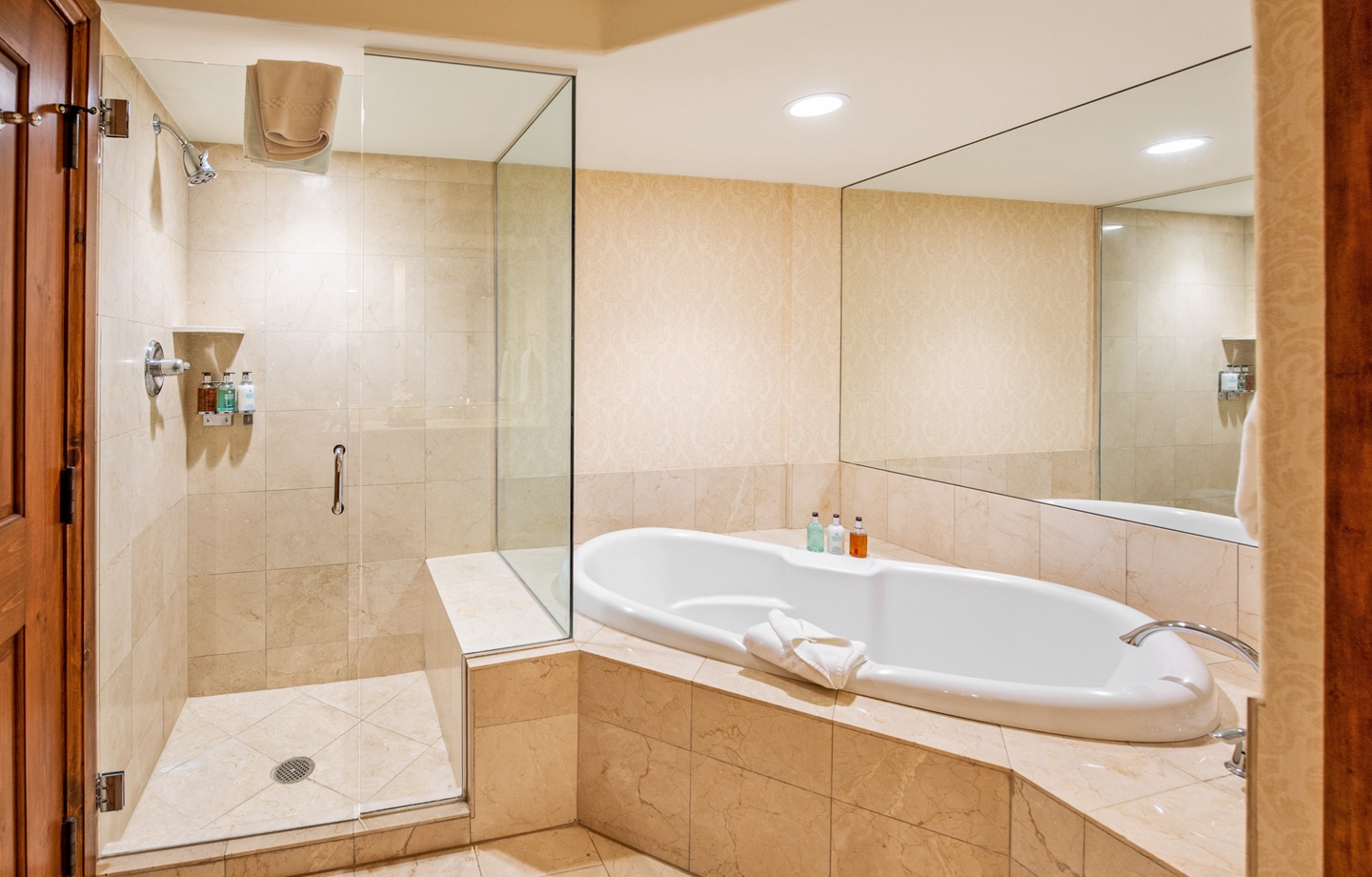 Master Bathroom Tub and Shower