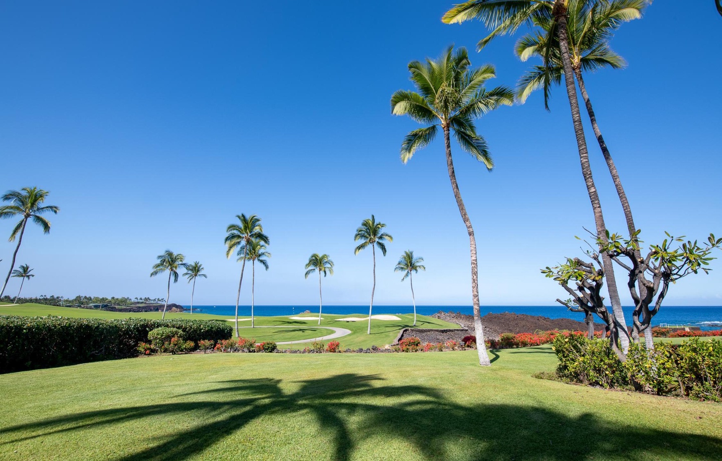 Mauna Lani Point E106