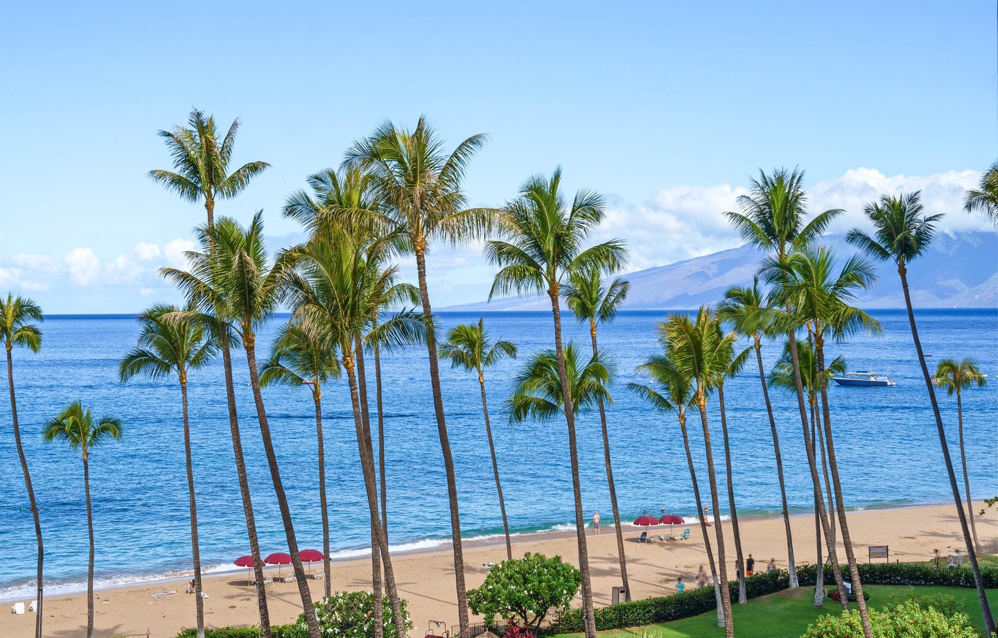 Kaanapali Alii 466