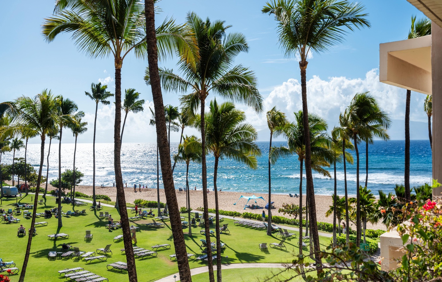 Kaanapali Alii 344