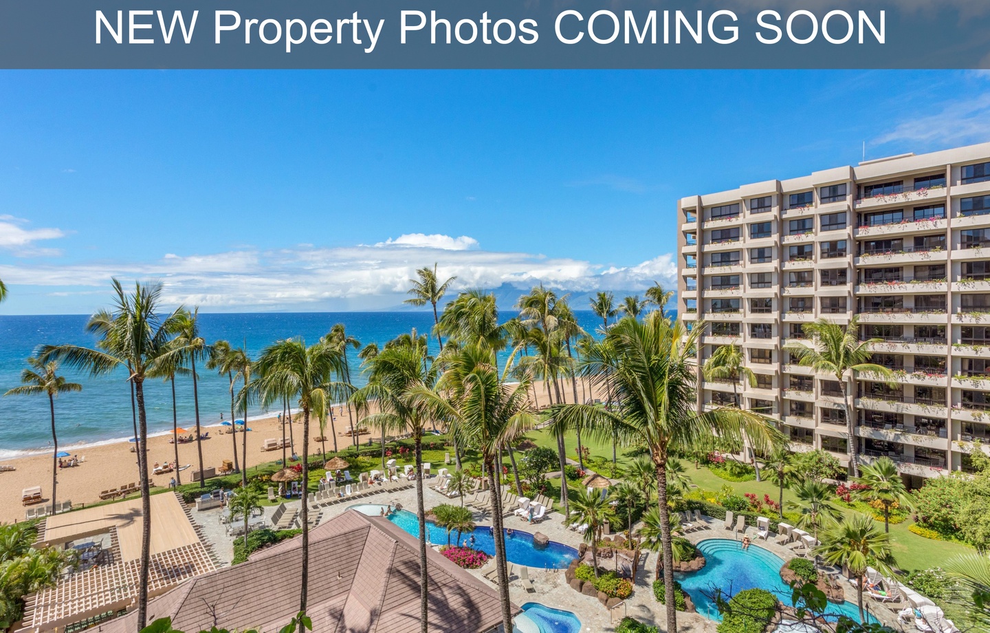 Kaanapali Alii 324