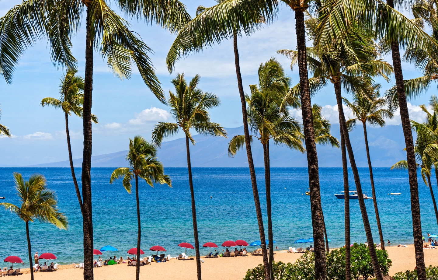 Kaanapali Alii 442