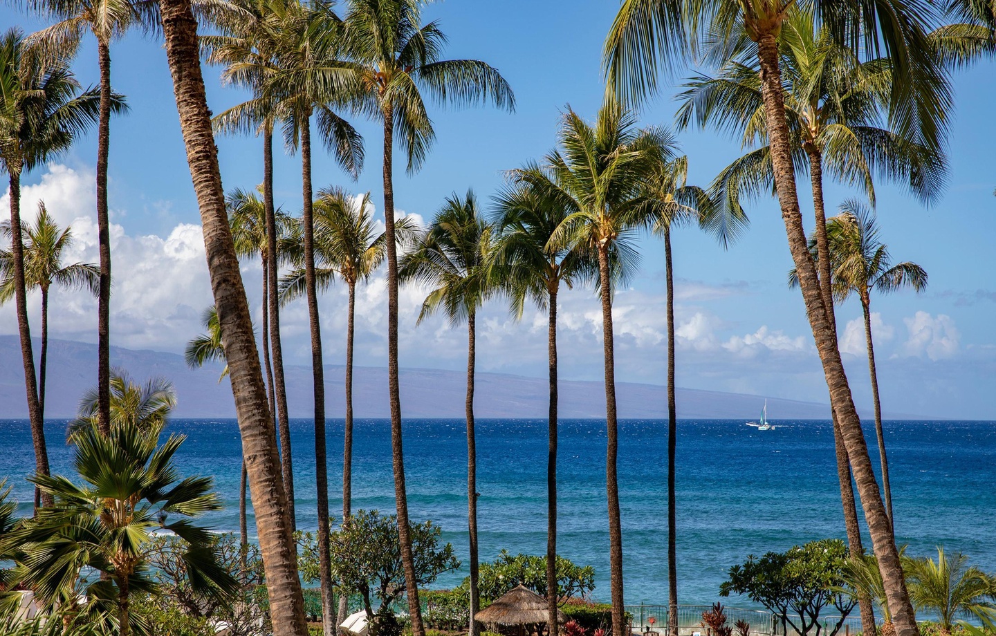 Kaanapali Alii 231