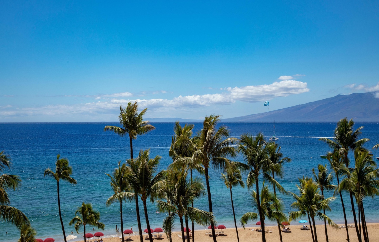 Kaanapali Alii 486