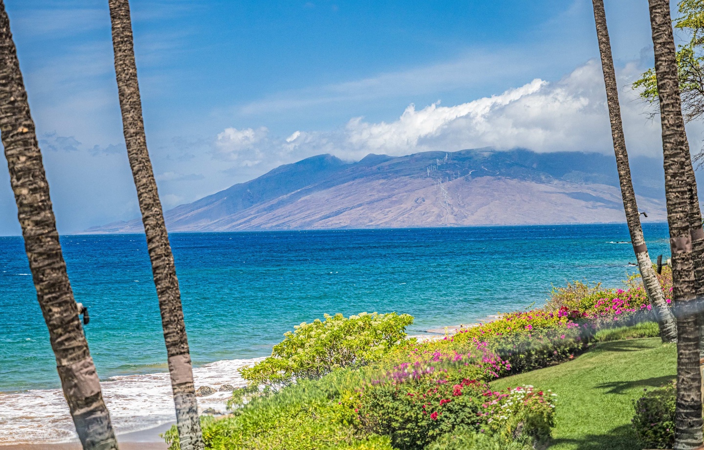 Lanai View
