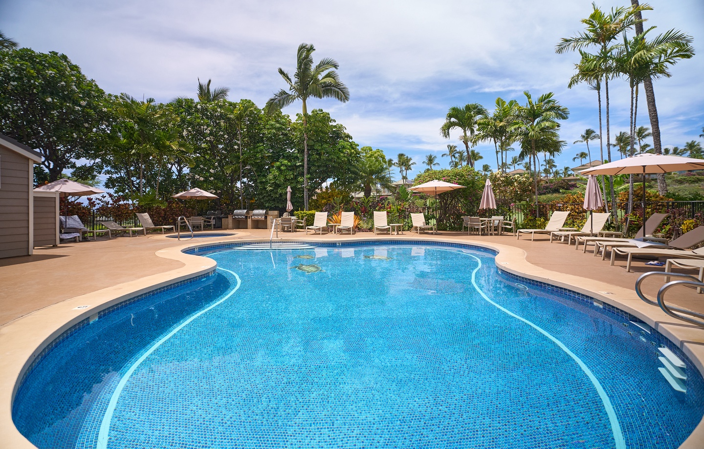 Resort Pools: Choose from two sparkling resort swimming pools surrounded by sun-drenched lounge areas and tropical palms.