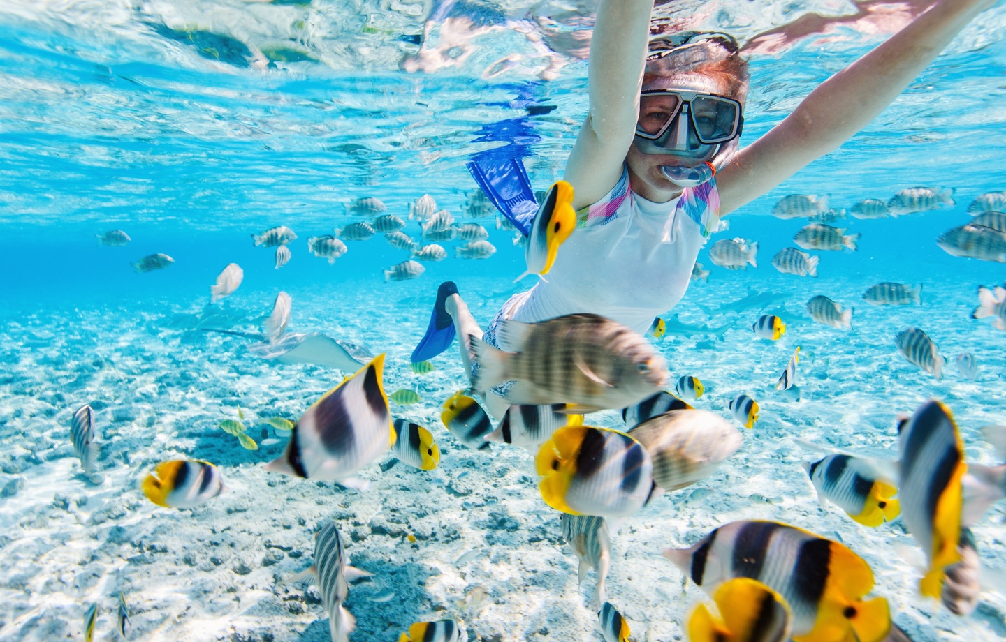 South Maui's best snorkeling is across the lawn.