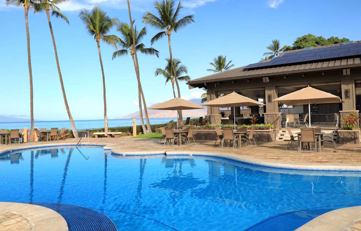 A pristine oceanfront pool area framed by swaying palms and distant island views. The property features shaded outdoor dining and a covered pavilion, all steps from the sparkling blue water.