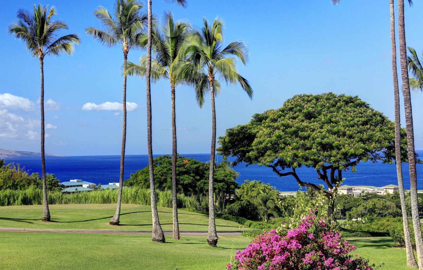 Wailea Ekolu Village 1203