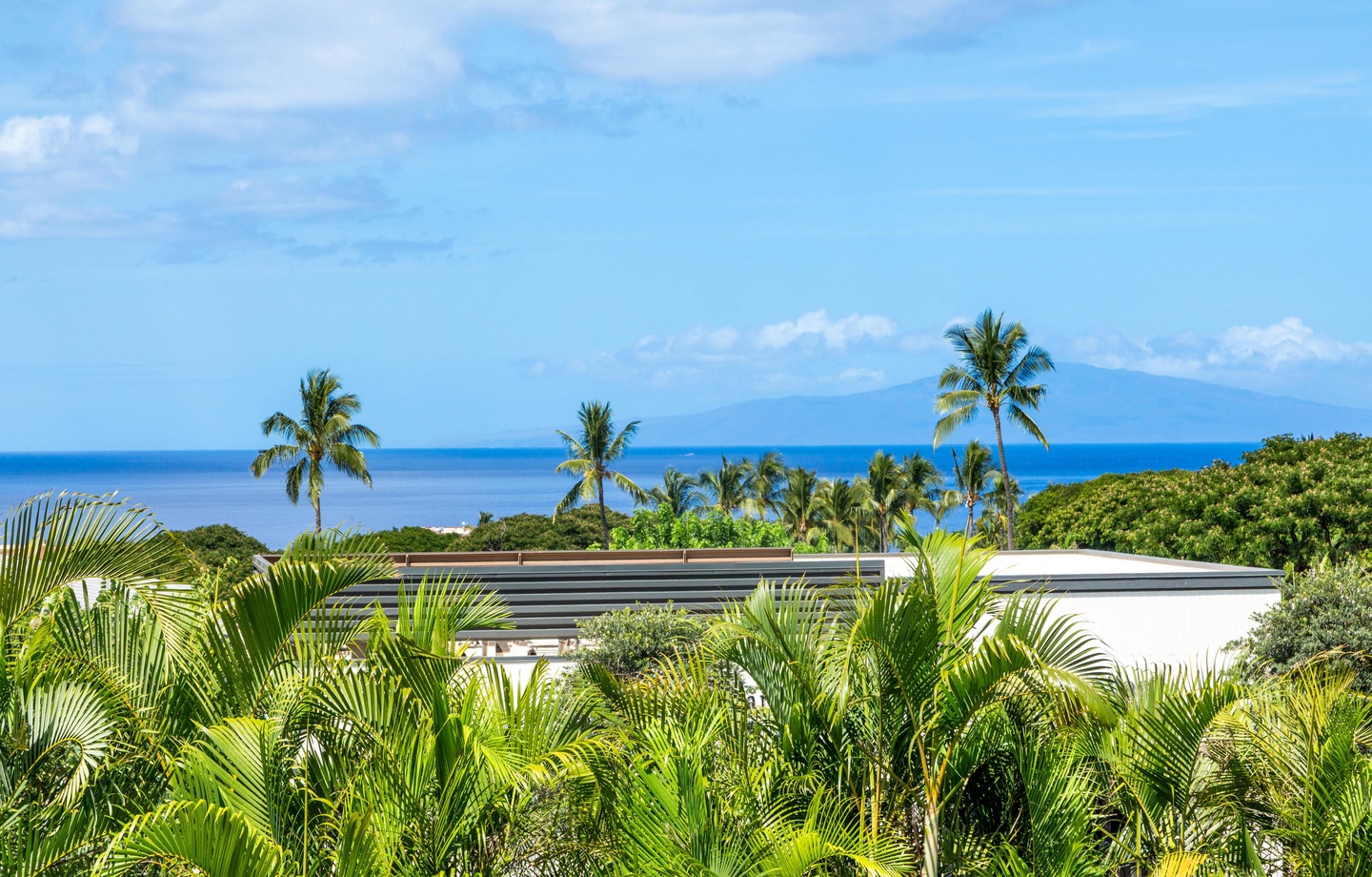 The property is nestled amid lush tropical foliage with distant ocean and mountain views framing the horizon—a serene, island setting.