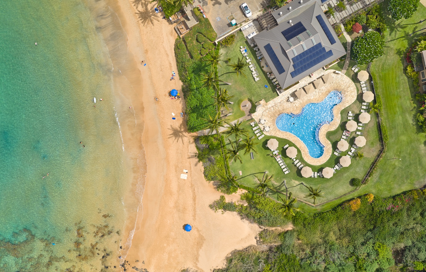 An aerial view showcasing the property's prime beachfront location, with a curved pool, lush tropical landscaping, and direct access to pristine turquoise waters and golden sand.