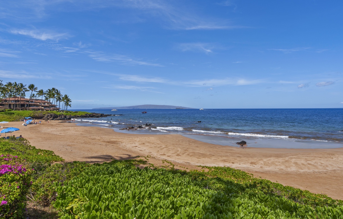 Nature's Front Row: Enjoy world-class snorkeling with sea turtles every day right off the property's shoreline.
