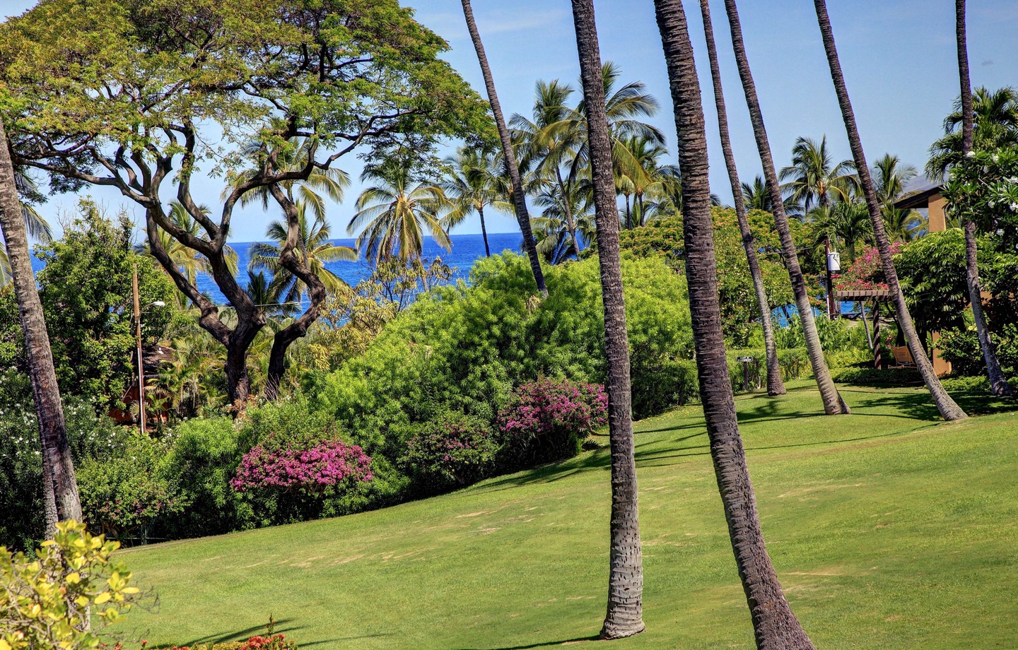Wailea Ekahi Village 10F