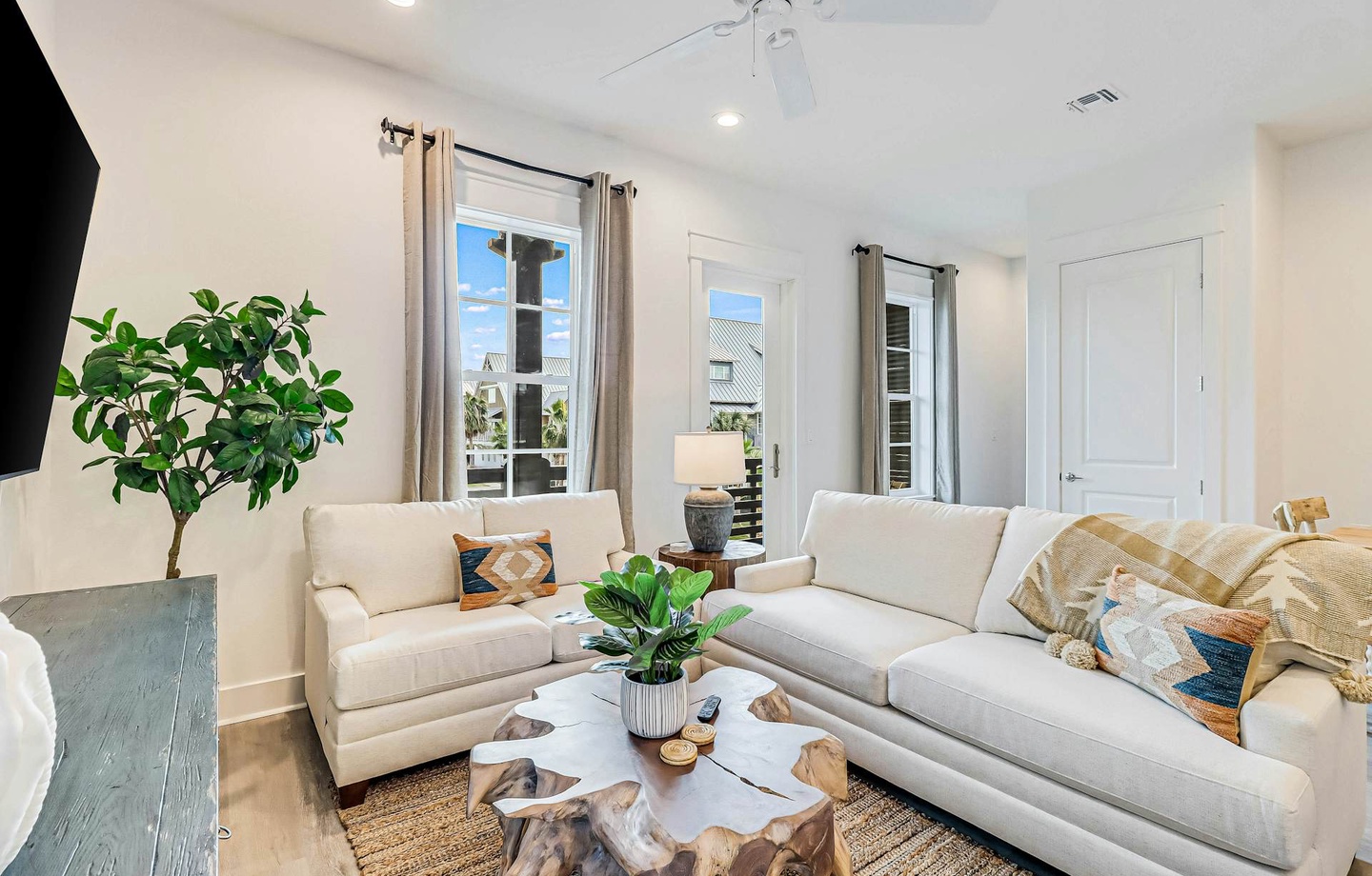165 Spanish Dagger | Photo 1