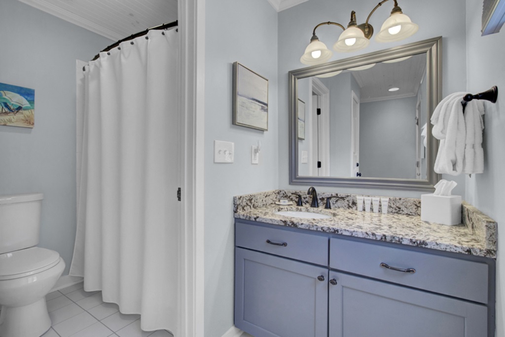 Guest Bathroom 1