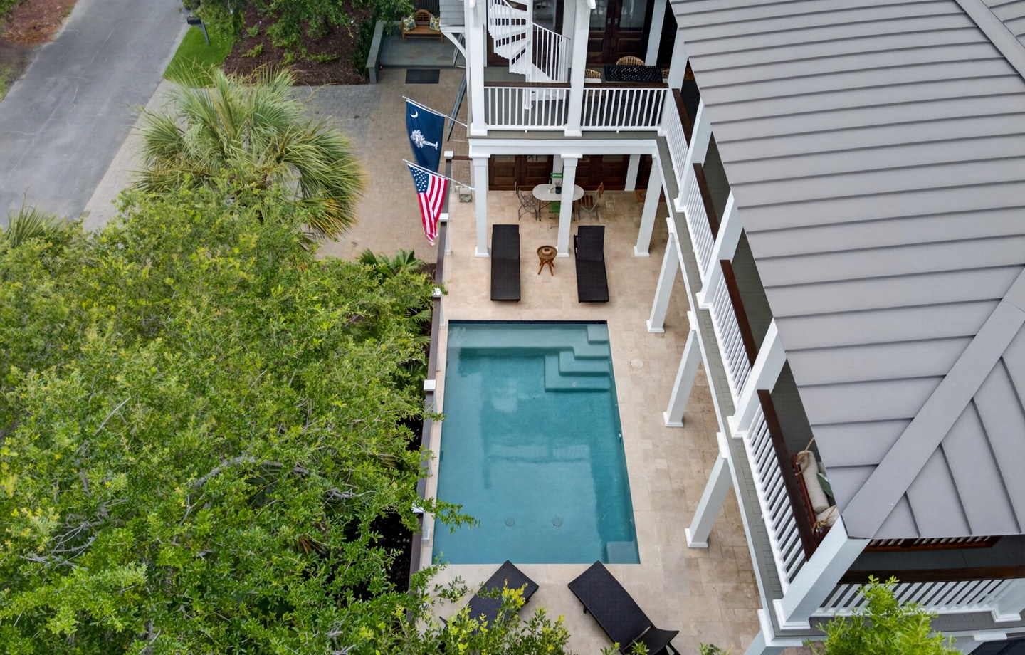 Palm 3301 by Wild Dunes