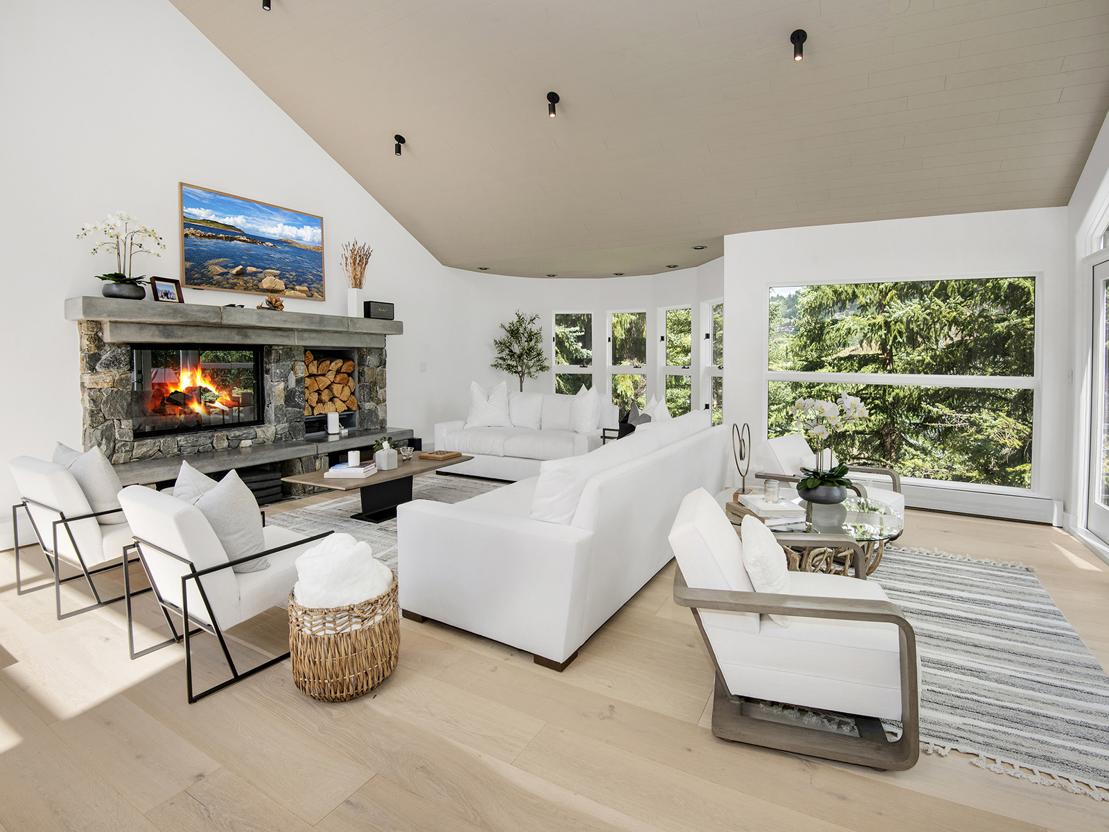 Living Room and Seating Area