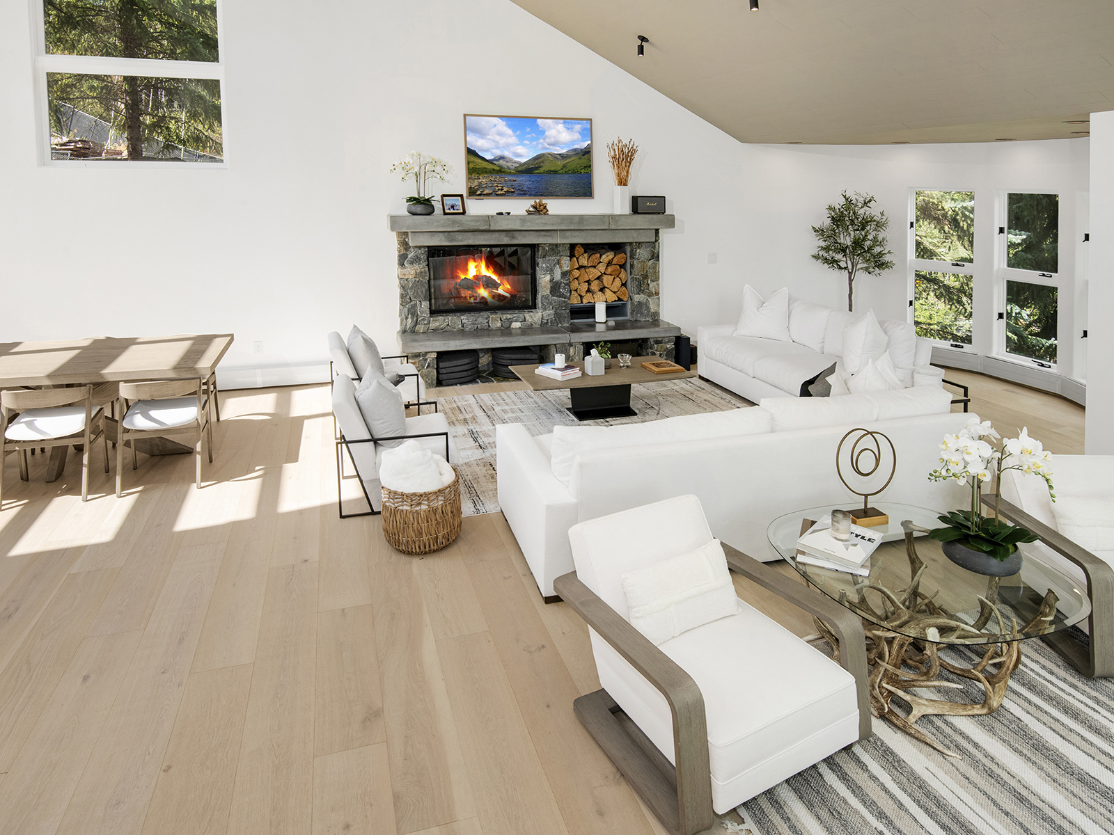 Living Room and Seating Area