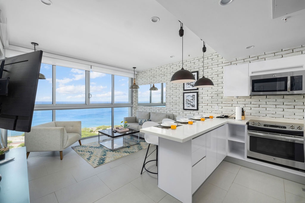 Kitchen counter & Living room area