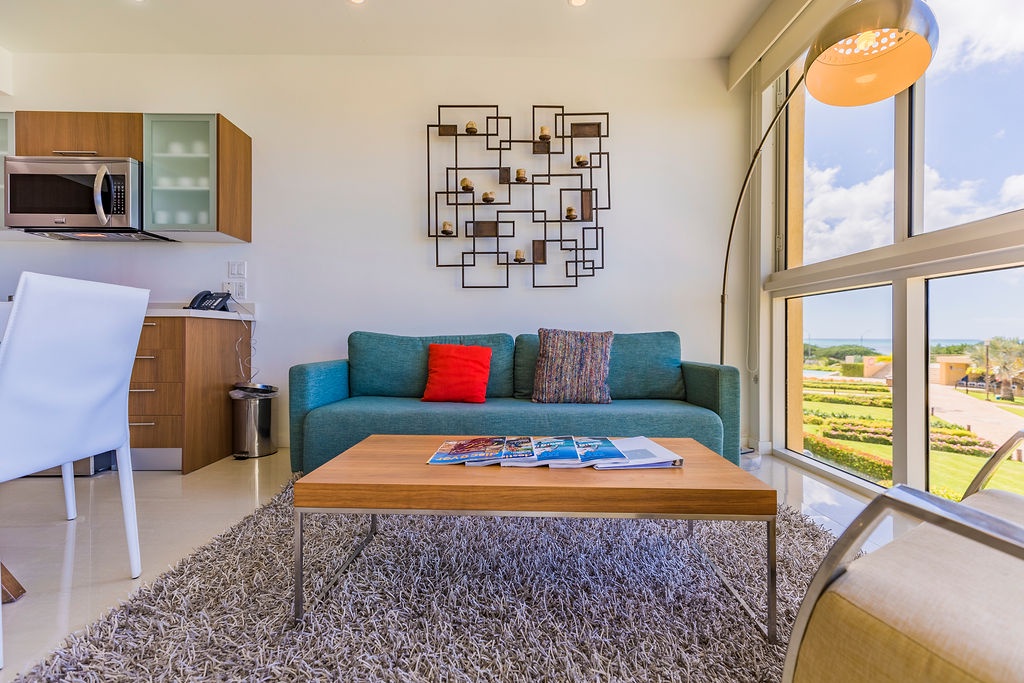 Living room w/ sofa bed