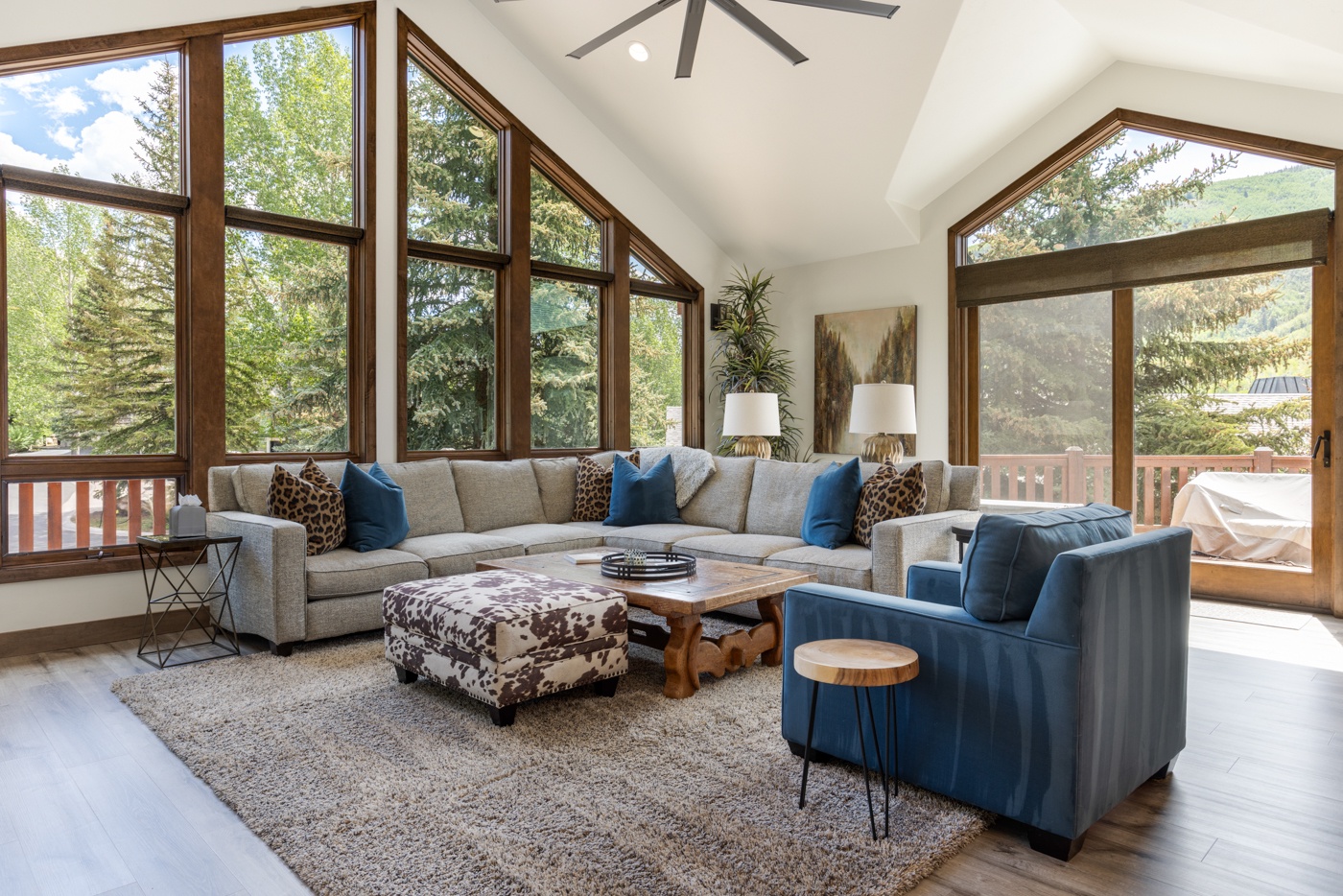 Living Room/Window View