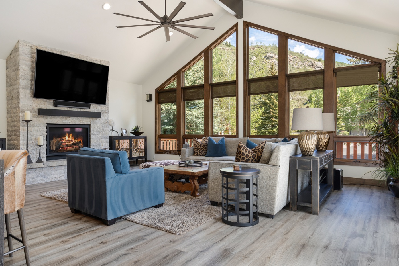 Living Room/TV