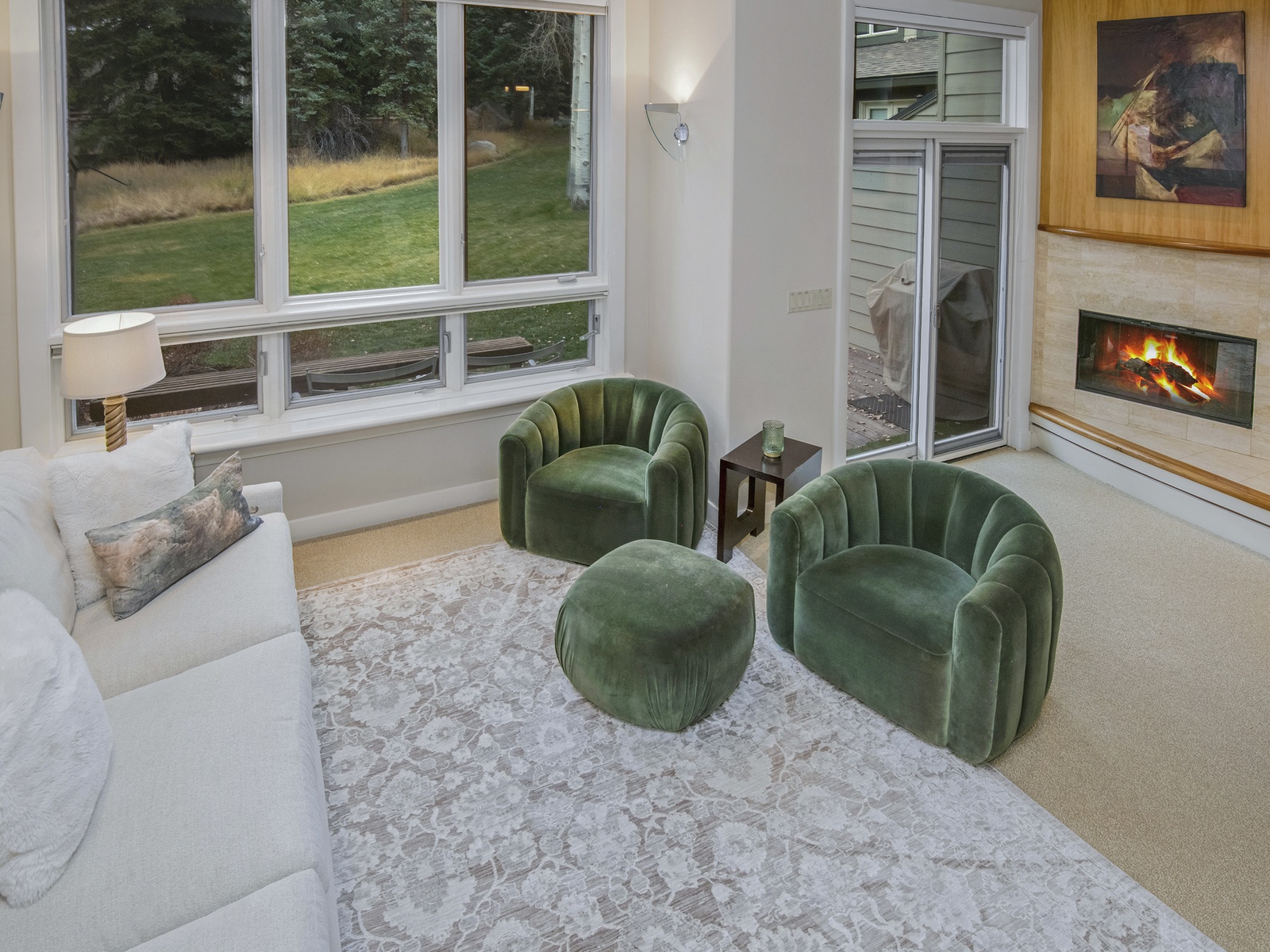 Living Room View