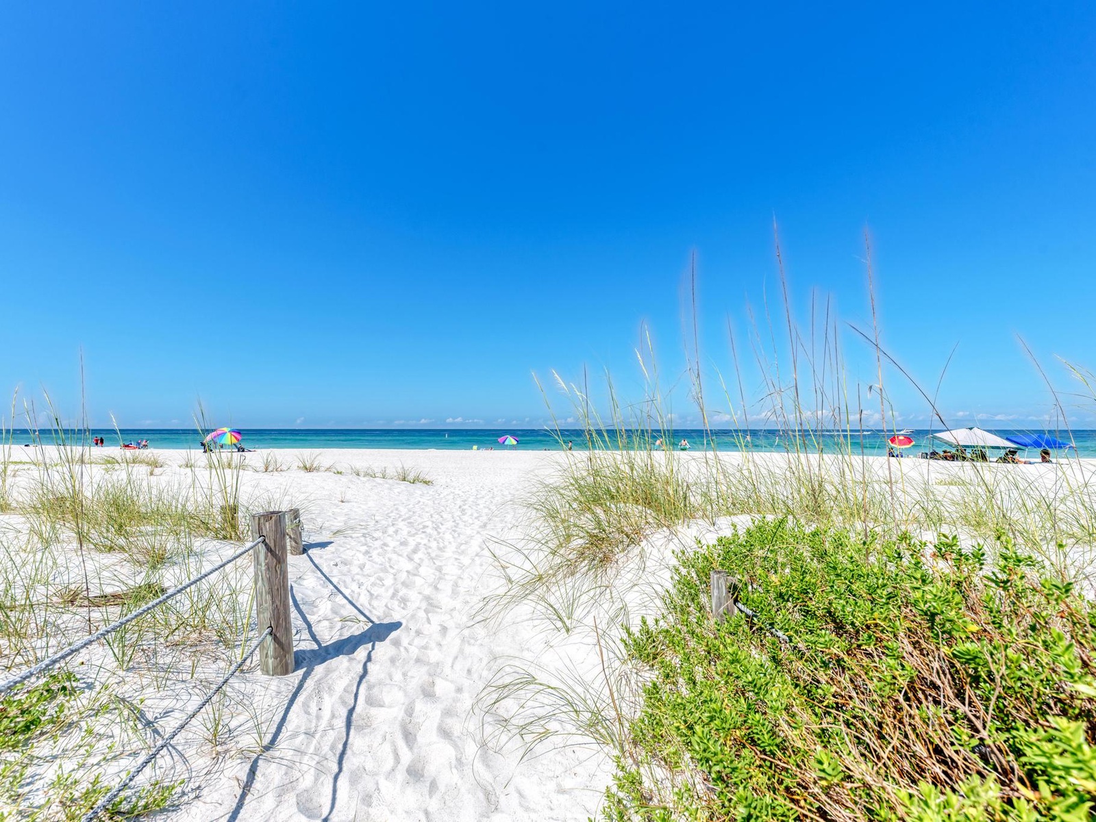 Anna Maria Island Paradise Palms