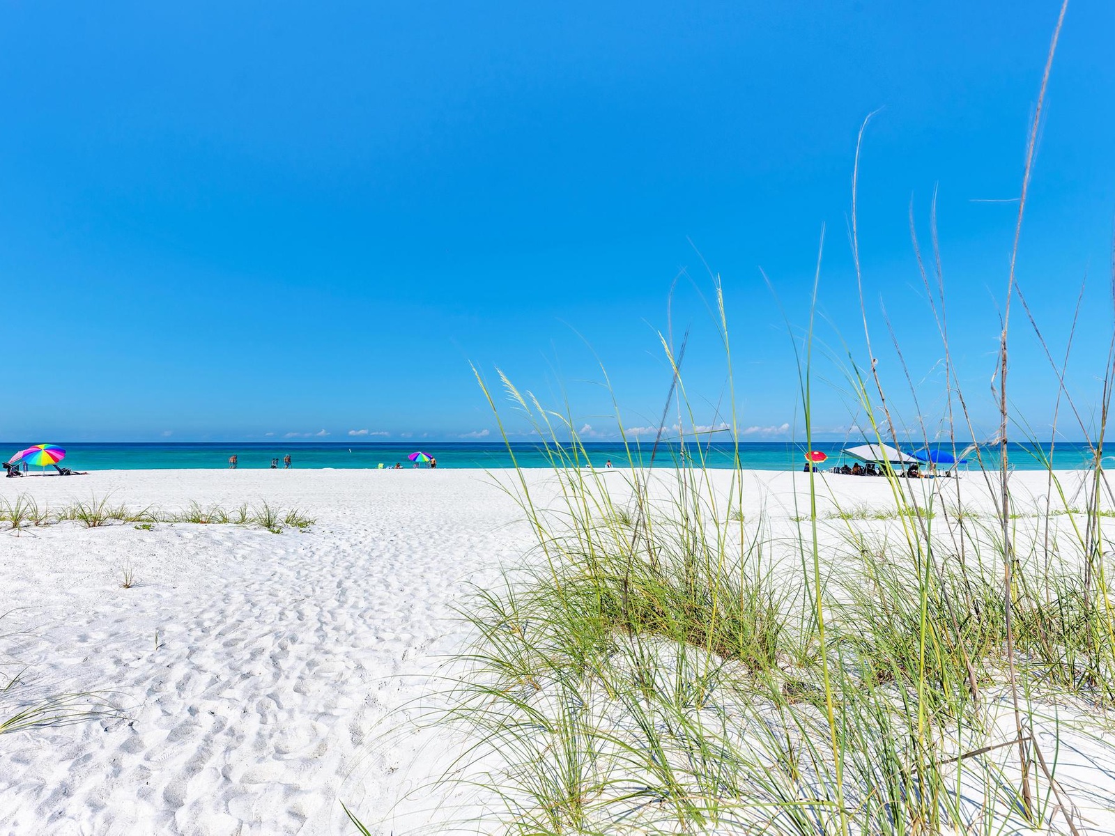 Anna Maria Island Paradise Palms