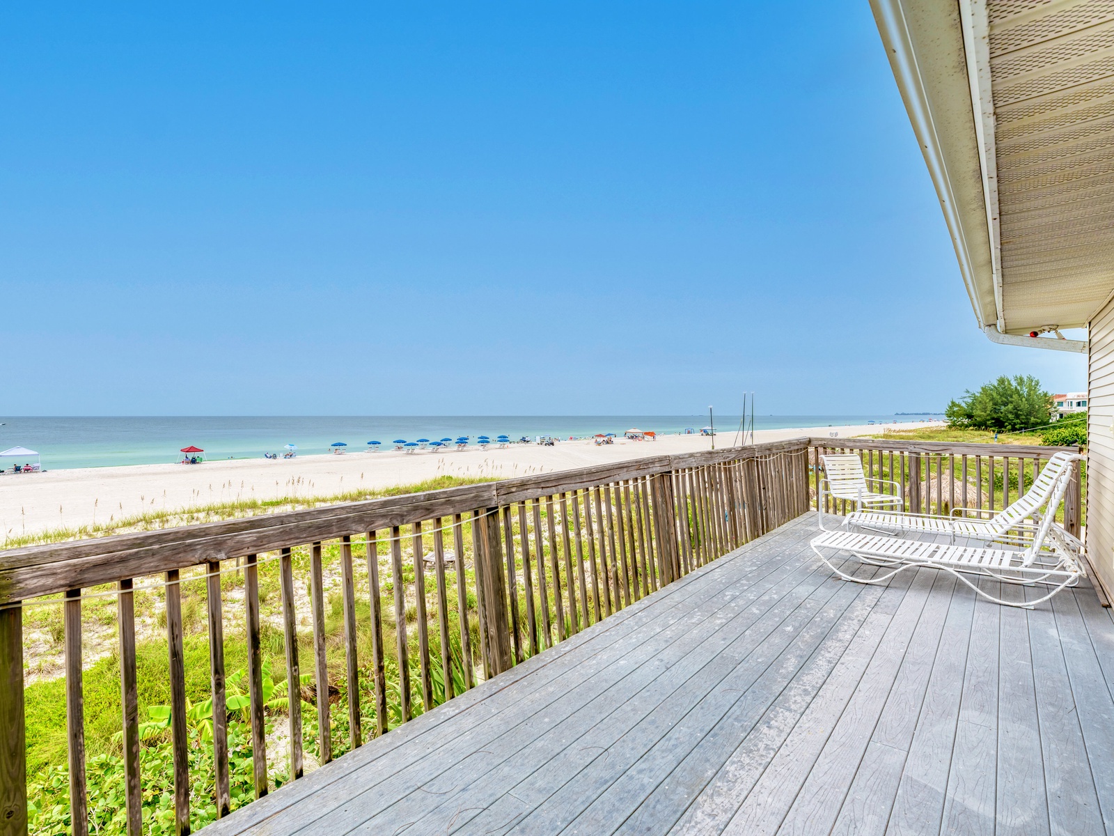 Anna Maria Island Beach Watch